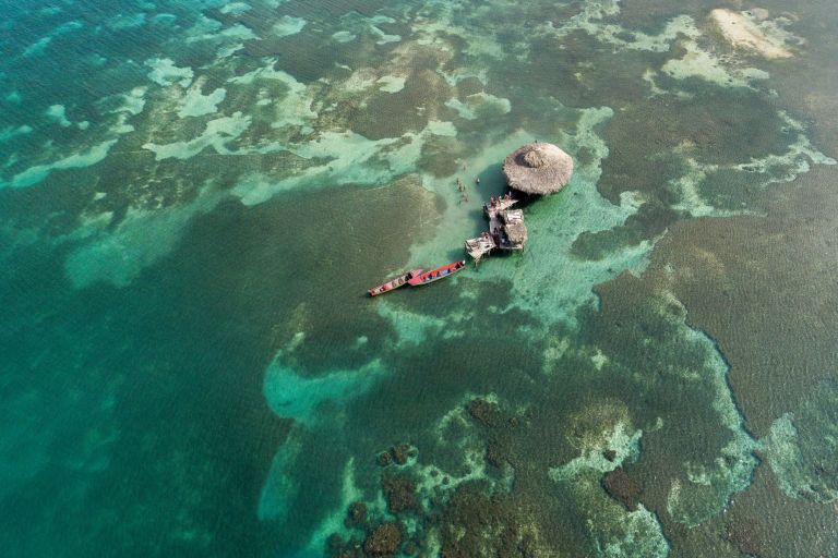 Jamaica, November 2017-0299.jpg