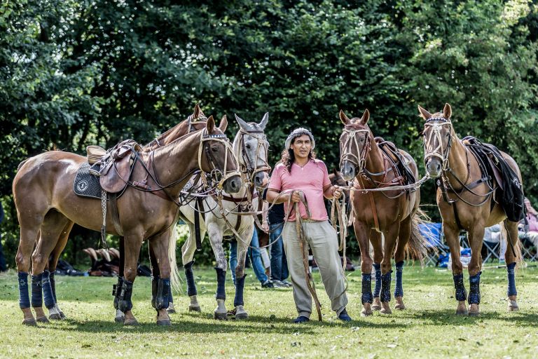 Polopicknick, Muenster 2.jpg