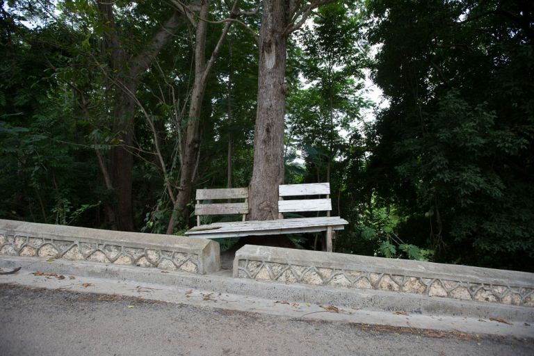 Jamaica  (34 von 37).jpg