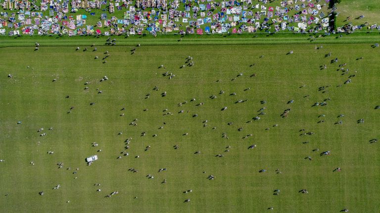 Eintreten, Polopicknick, Muenster.jpg