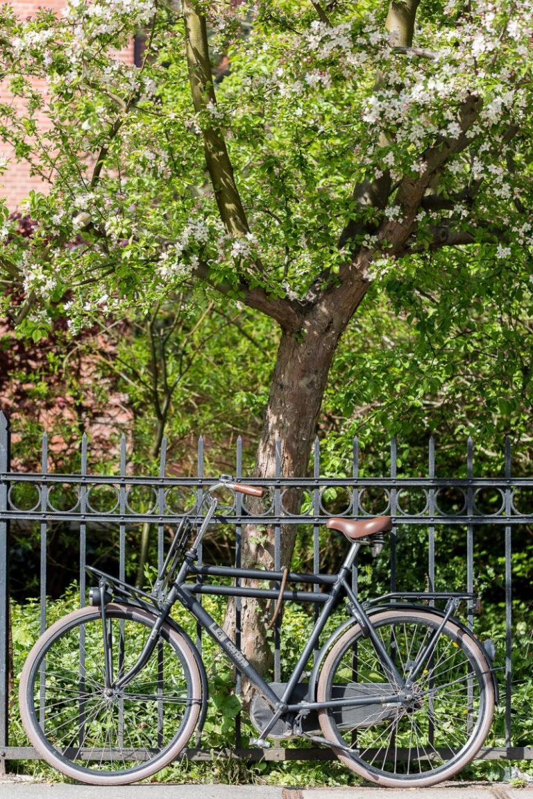 Fahrrad, Lübeck